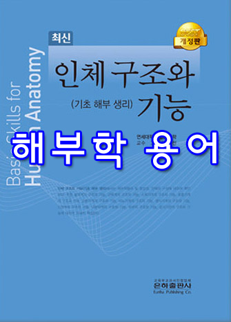  [인체 구조와 기능] 01 해부학 용어 summary