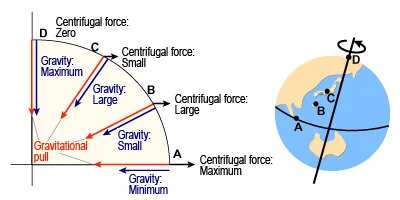 지구에서 중력은 지구 중심 방향(연직방향)으로 작용하며&#44; 엄밀하게는 자전에 의한 원심력 때문에 위치에 따라 다르다.