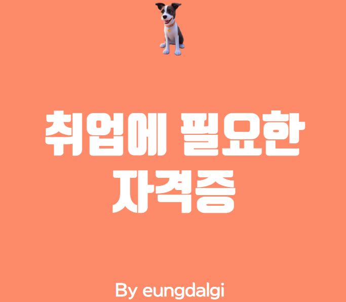  취업에 필요한 자격증: 나에게 맞는 자격증은?