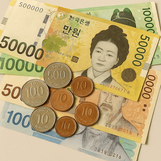 민생회복 소비쿠폰 전국민 지원금