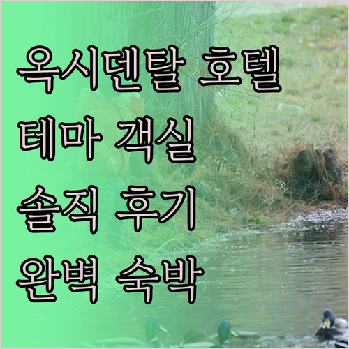옥시덴탈 호텔.. 테마 객실과 위치,