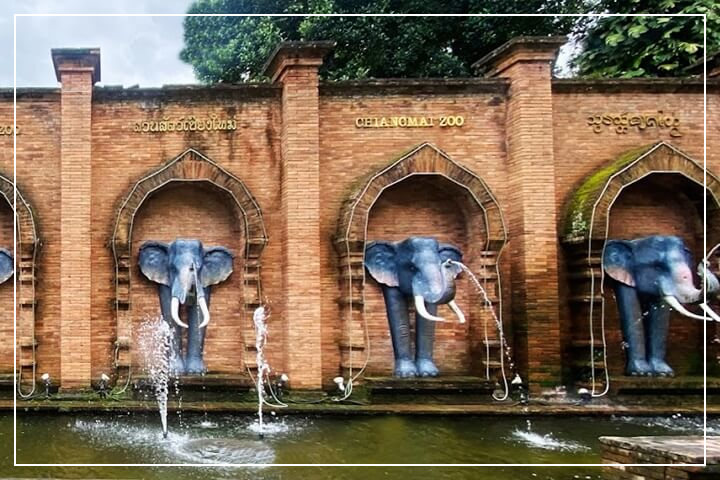 치앙마이 동물원(Chiang Mai Zoo)