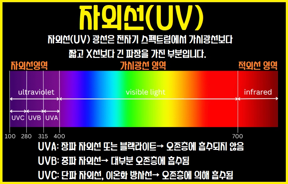자외선 노출