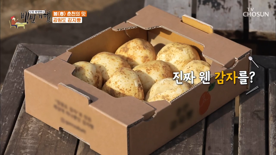  [춘천 가볼만한 곳] 춘천 카페 감자밭 웨이팅 팁과 리뷰