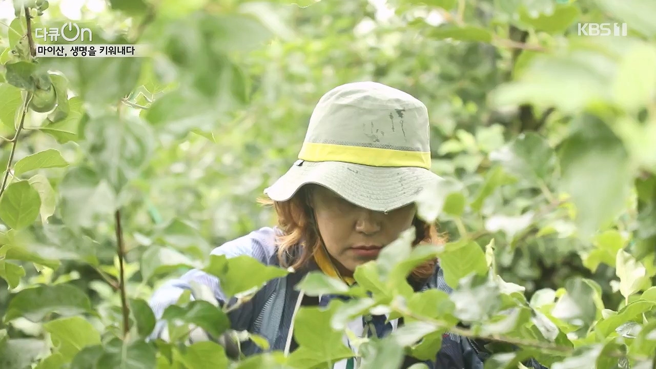 다큐 온.E215.230917p-NEXT.mp4_20230922_213550.402.jpg