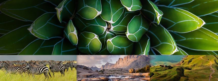 바탕화면을 세계의 멋진 풍경사진으로 자동으로 바꿔주는 프로그램 Bing Wallpaper