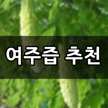  유기농여주즙 추천 새로워보이는 내용들.