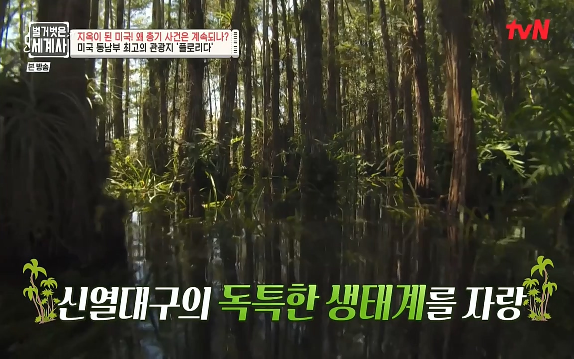 벌거벗은 세계사.E57.220727p-NEXT.mp4_20220730_173928.679.jpg