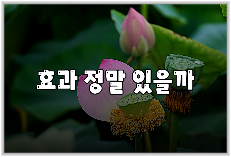 효과 정말 있을까