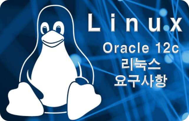  오라클 설치 전 리눅스 서버 요구사항 설정 방법(oracle 12c)