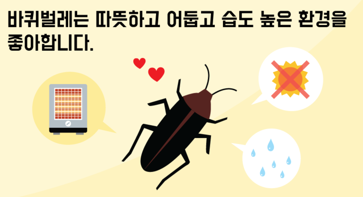 바퀴벌레