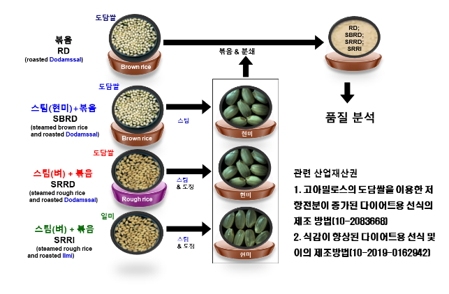  도담쌀 저항전분 증대 기술로 당뇨 · 염증 예방 효과 입증
