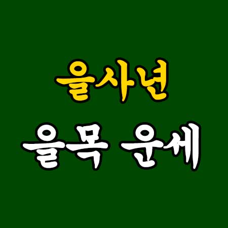 을사년 을목 운세