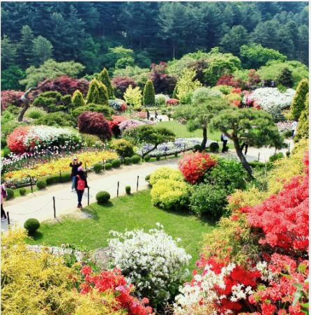 아침고요수목원-봄꽃페스타-전경