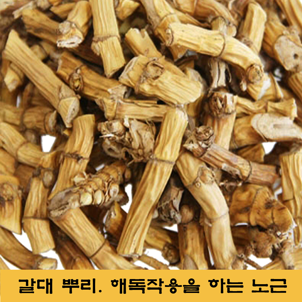  노근, 갈대뿌리, 노근 효능