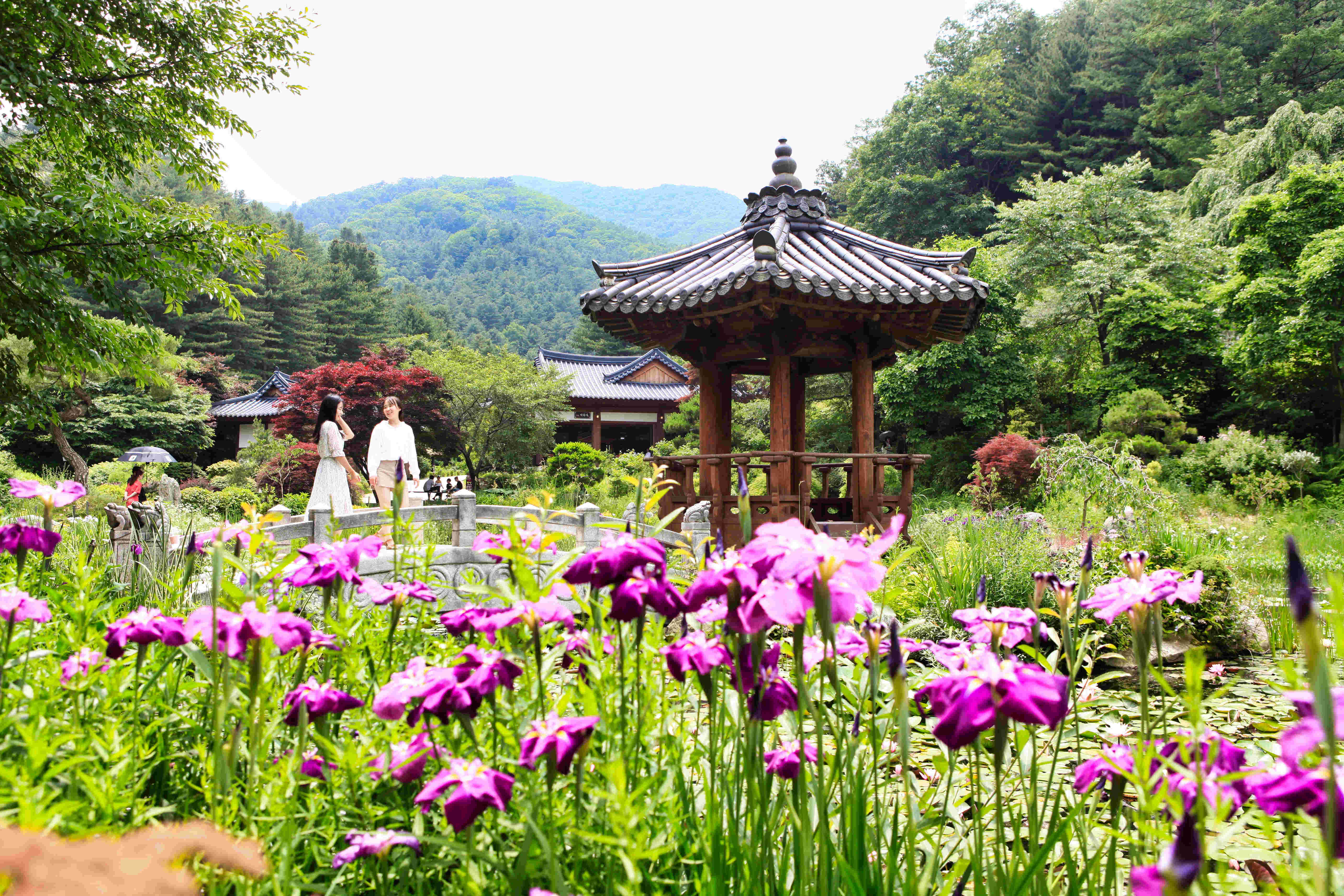한국정원(서화연)