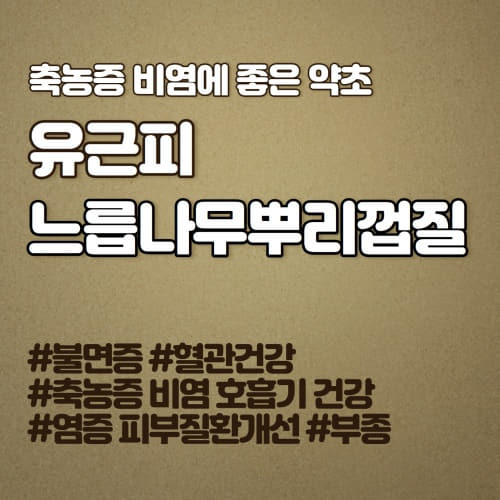  혈관건강 면역력 비염 유근피 효능 느릅나무껍질 부작용 없이 먹는법 섭취 시 주의사항(유근피차 끓이는 방법) 楡白皮 楡根皮 ulmus macrocarpa