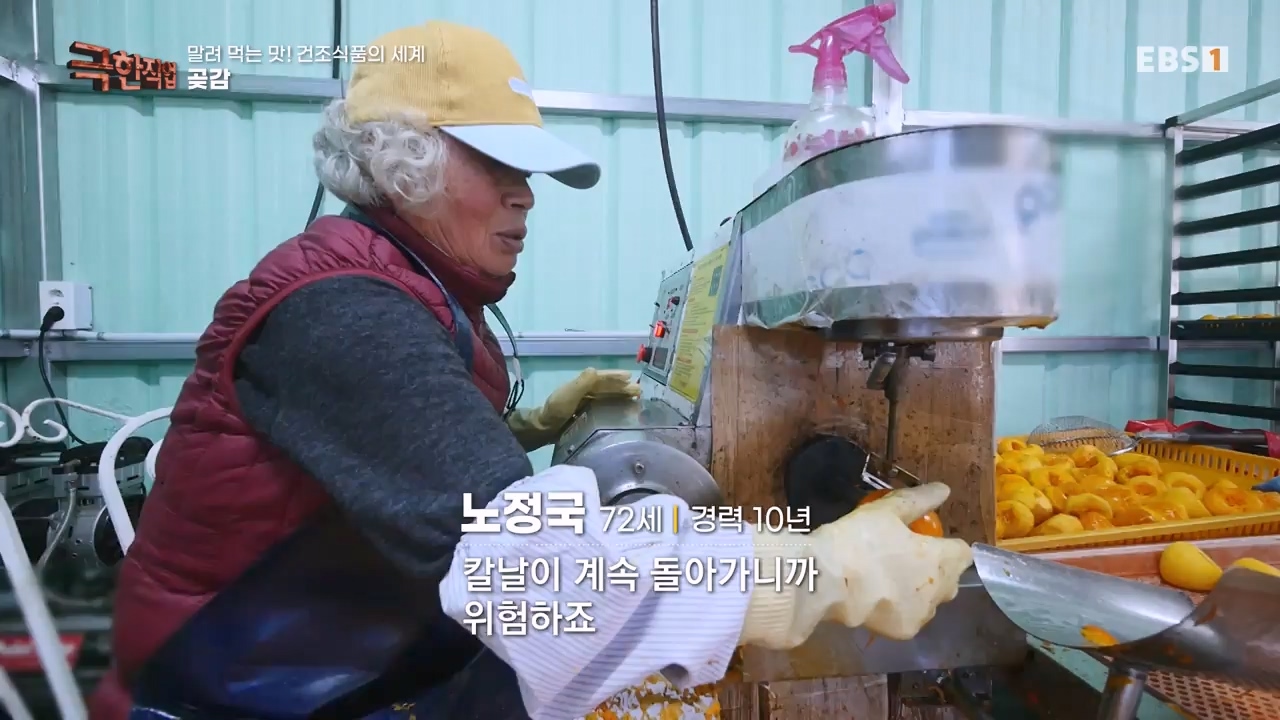 TV - 전 국민의 평생학교 EBS말려 먹는 맛! 건조식품의 세계.mp4_20231125_190724.396.jpg