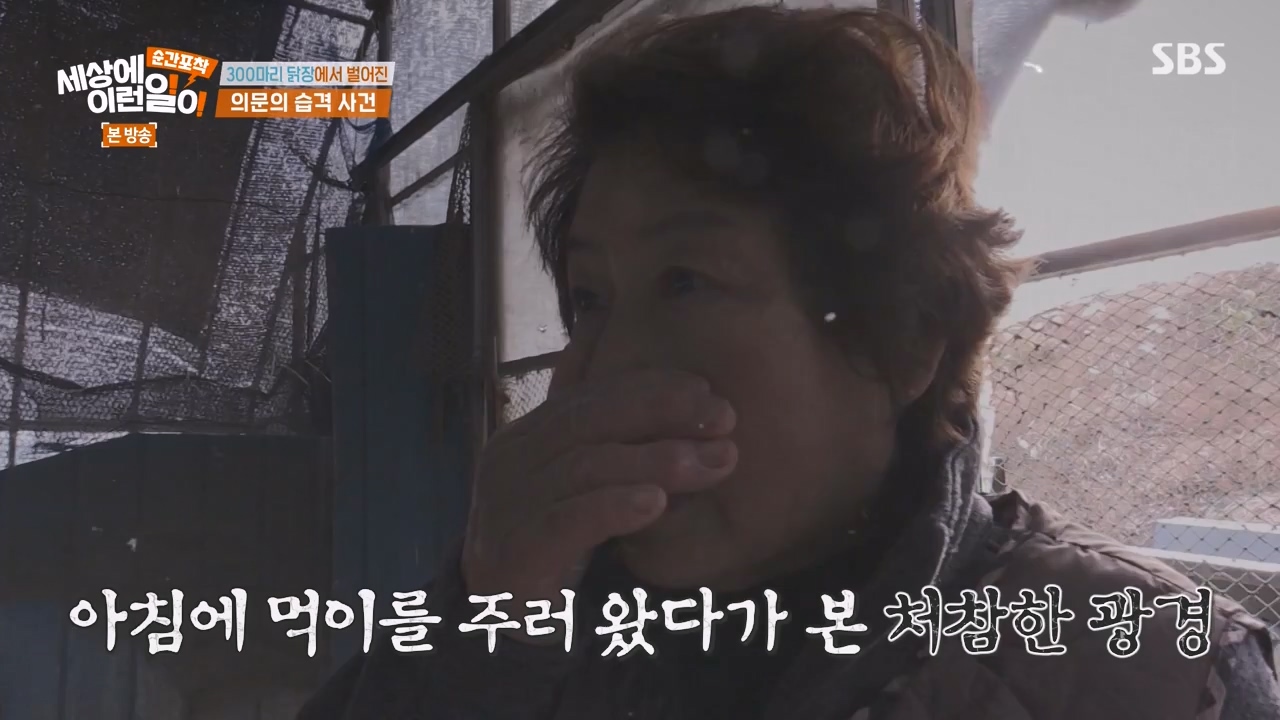 순간포착 세상에 이런일이.E1257.231224p-NEXT.mp4_20231224_180234.679.jpg