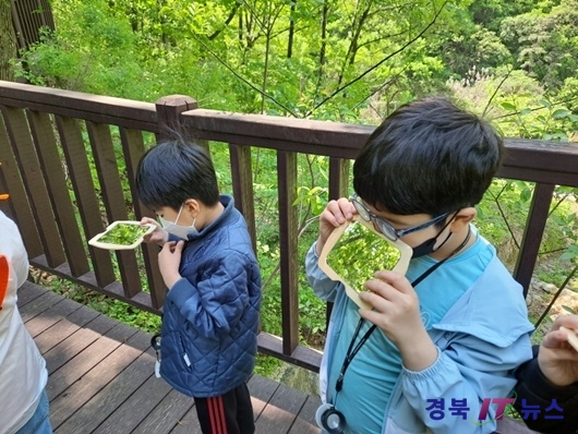 나무그린 이미지
