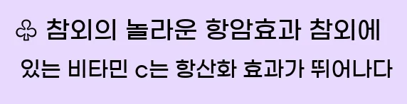  ♧ 참외의 놀라운 항암효과 참외에 있는 비타민 c는 항산화 효과가 뛰어나다.