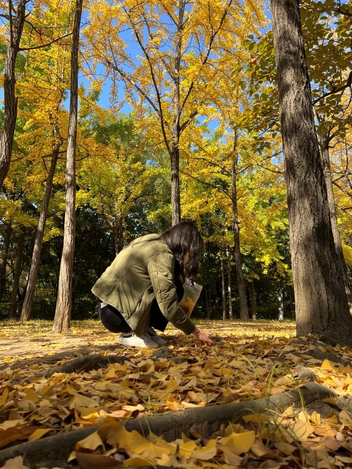 효창공원-낙엽을-줍는-사진