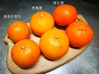 홍향의 11가지 효능, 열량과 보관방법, 부작용