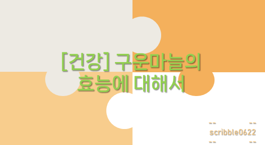  [건강] 구운마늘의 효능에 대해서