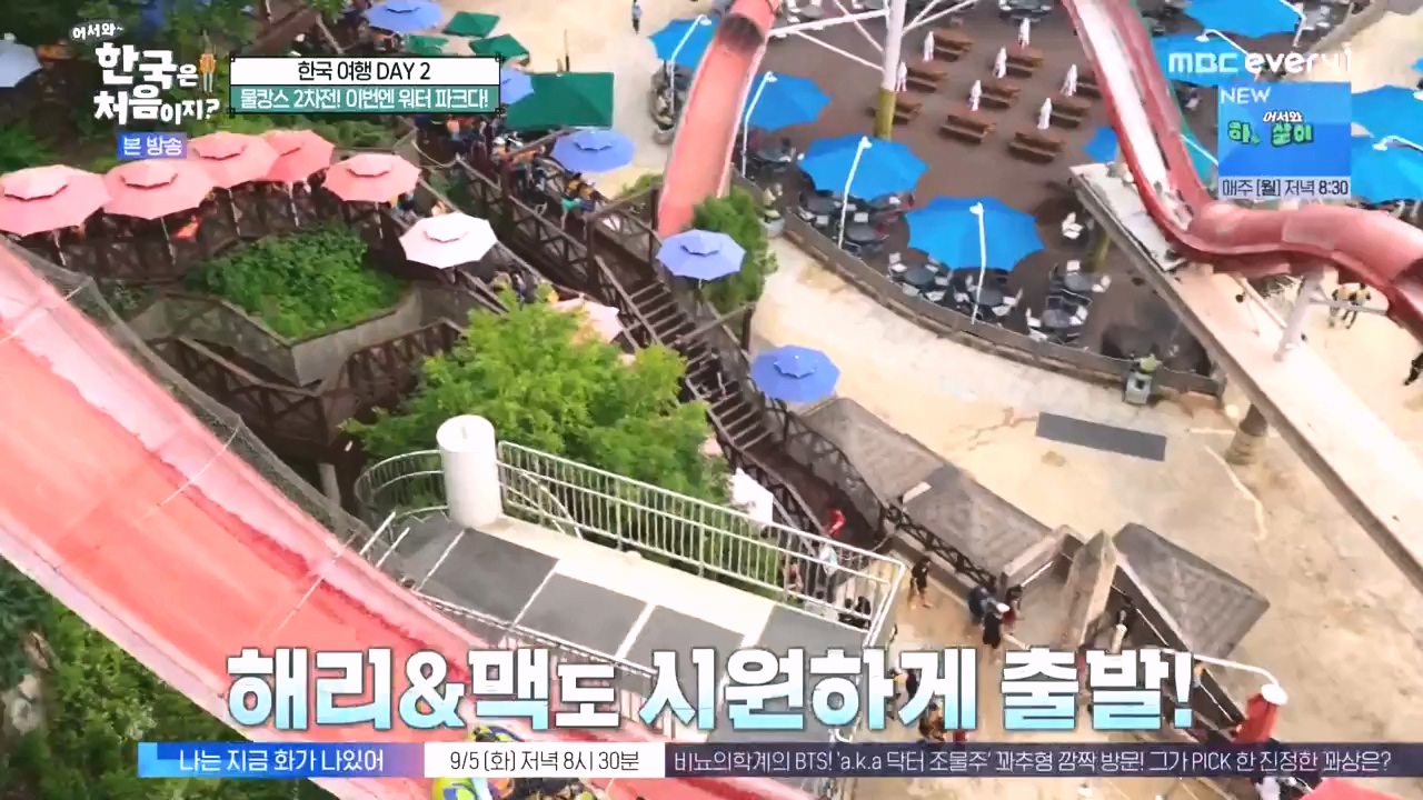 어서와 한국은 처음이지 시즌2.E278.230832p-NEXT.mp4_20230901_221649.021.jpg