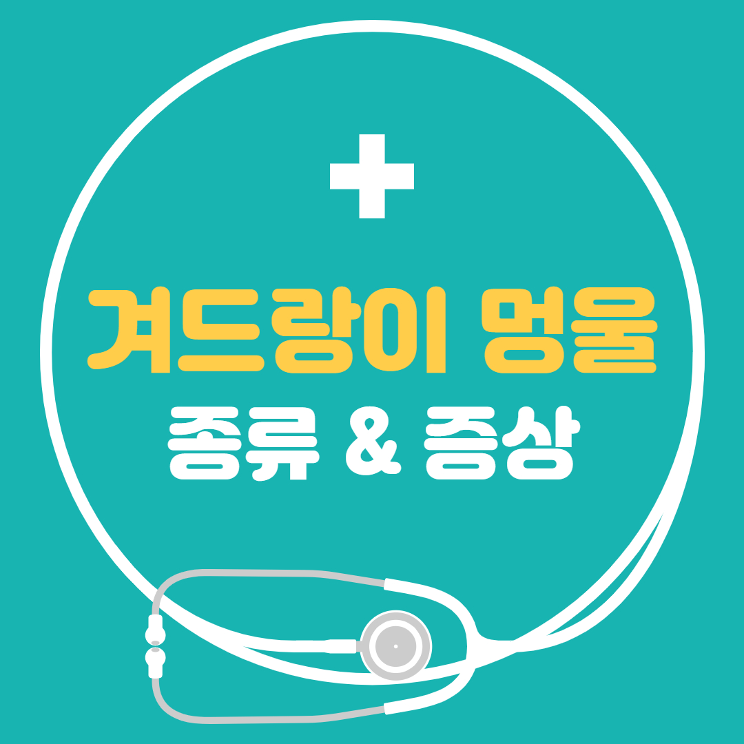  겨드랑이 멍울 혹 - 지방종 피지낭종 림프종 간단정리