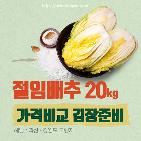 절임배추20kg-천일염-절임배추-김장-괴산절임배추-해남-대관령-농협