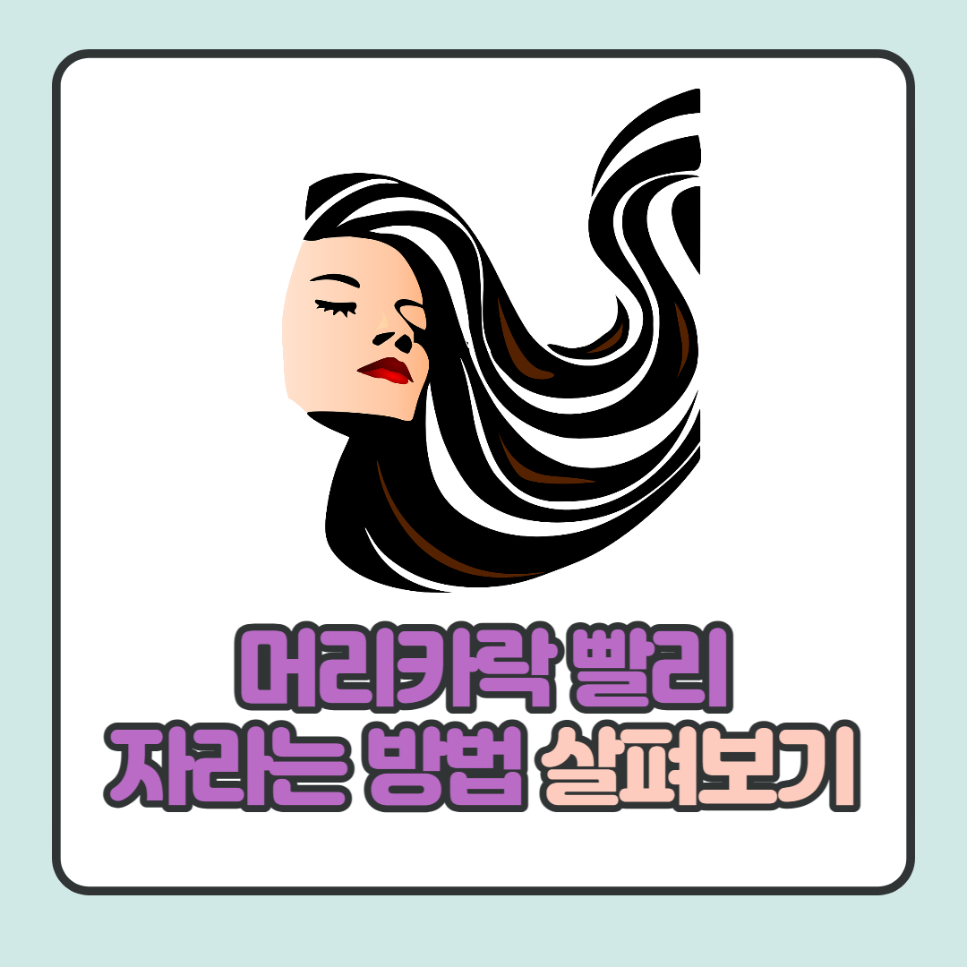  머리카락 빨리 자라는 방법 8가지 살펴보기