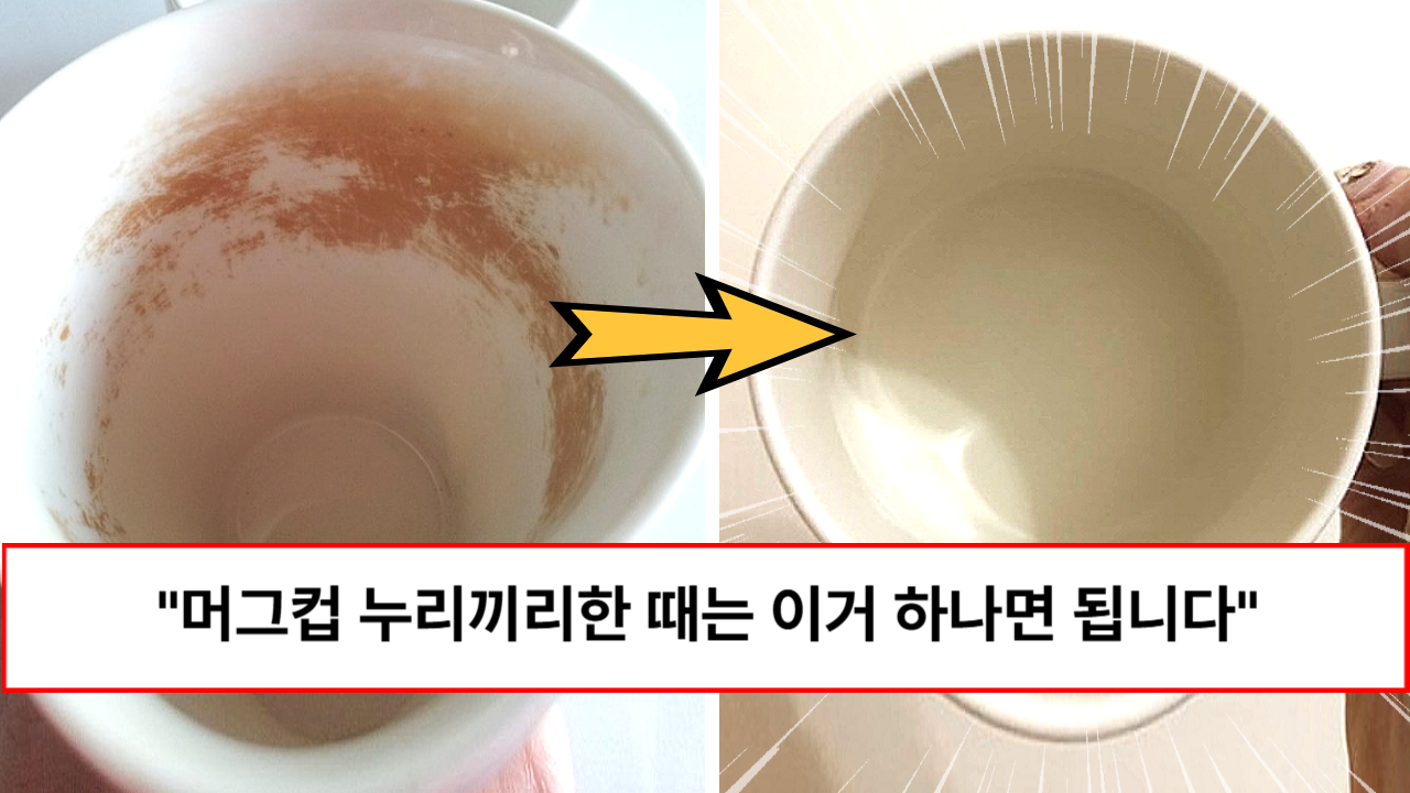 “이게 직빵입니다” 머그컵 누리끼리한 얼룩때 1분만에 없애는 방법