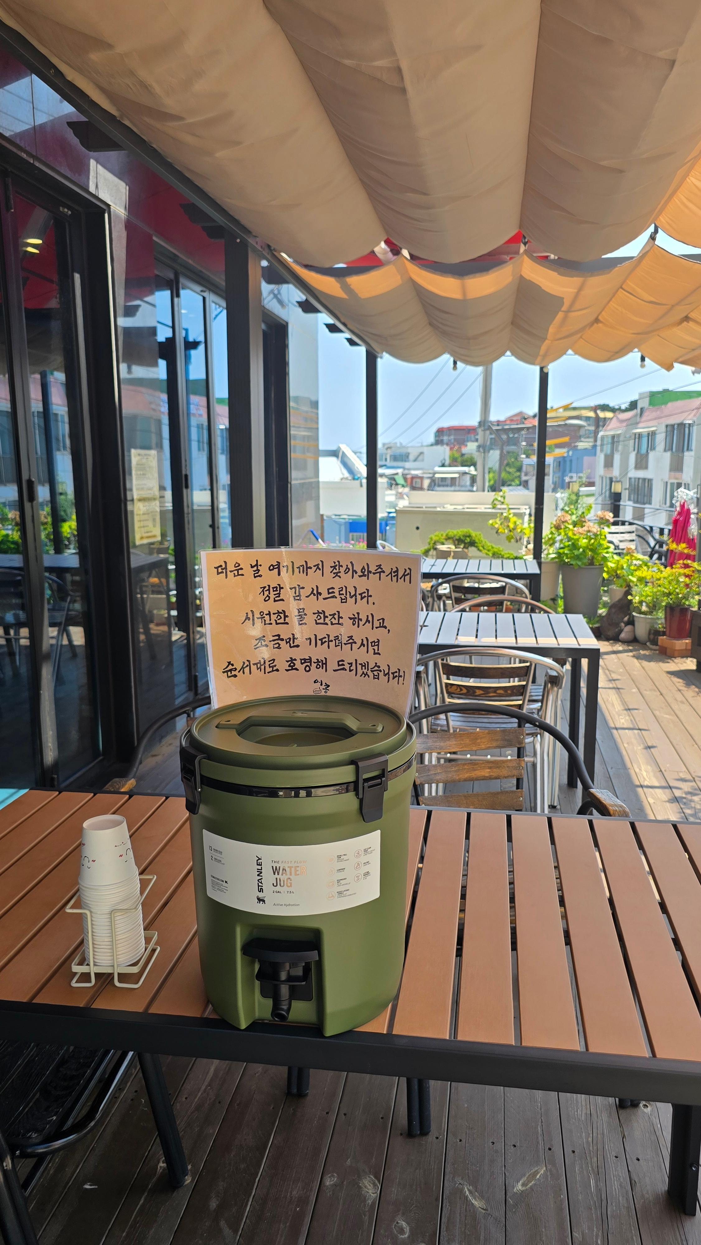 어콩 사진 2