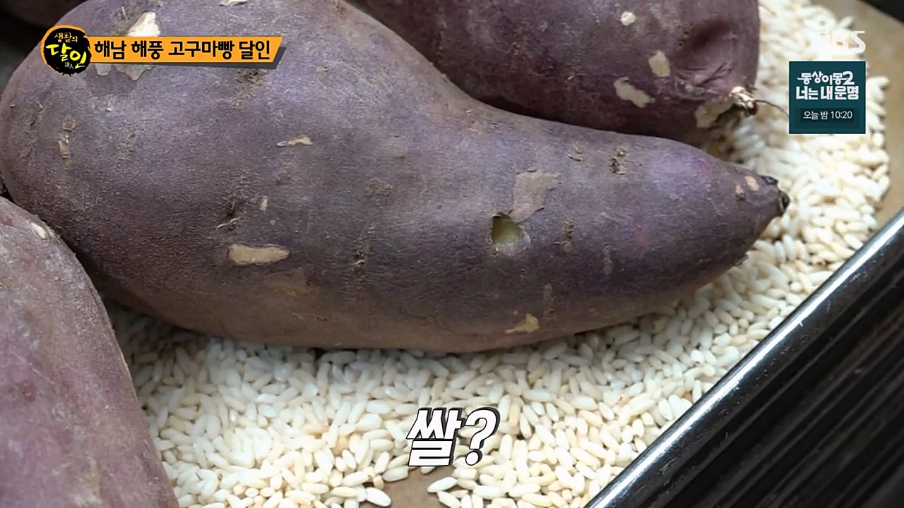 생활의 달인.E877.230221p-NEXT.mp4_20230222_194344.895.jpg