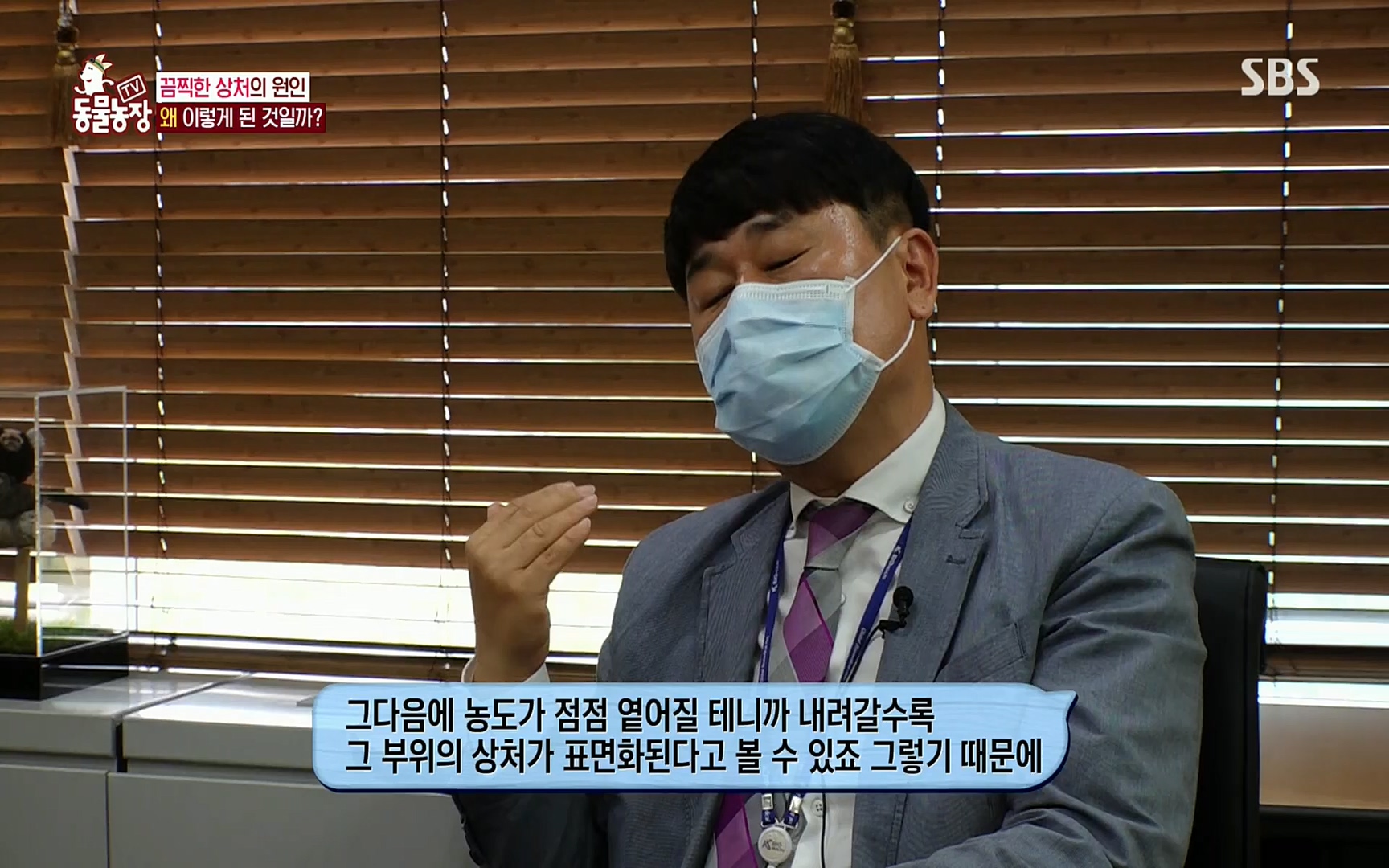 TV 동물농장.E1077.220710p.H264-F1RST.mp4_20220710_175438.242.jpg