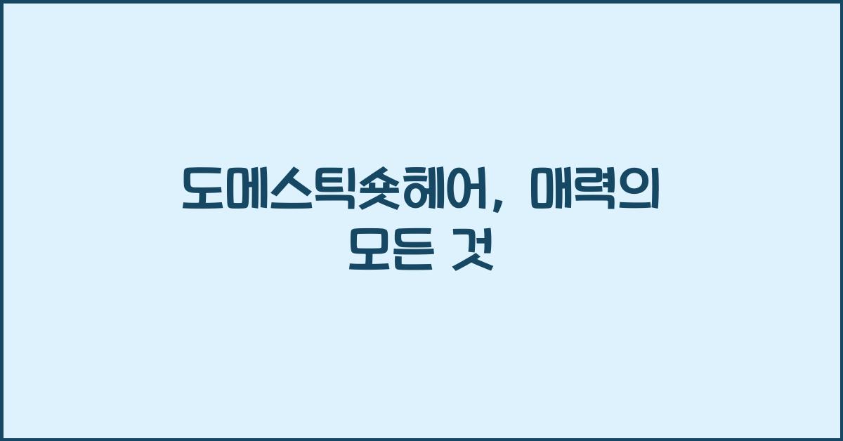 도메스틱숏헤어