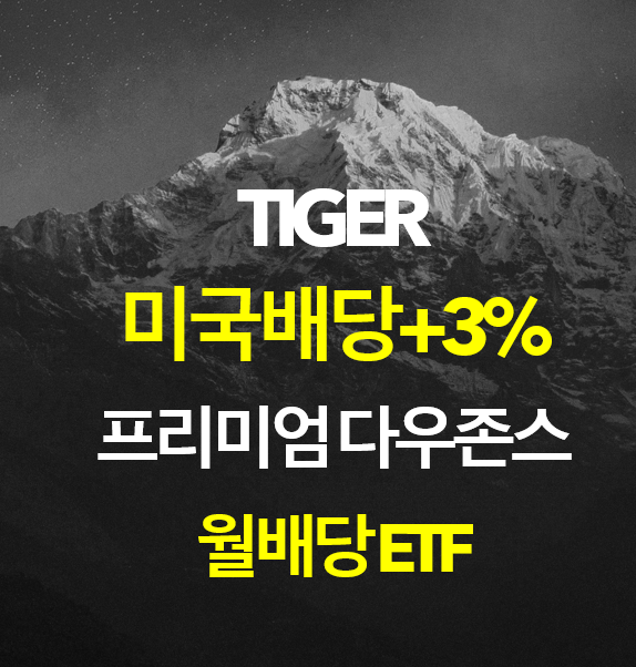  TIGER 미국배당+3%프리미엄다우존스 / 퇴직연금 ETF추천, 한국형 SCHD, 한국형 JEPI, 월배당 ETF추천, 미국 배당주