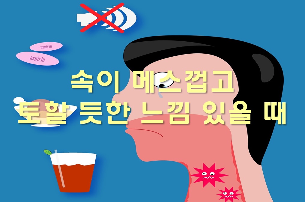  속이 메스껍고 토할 듯한 느낌 있을 때 속이 메스꺼운 이유