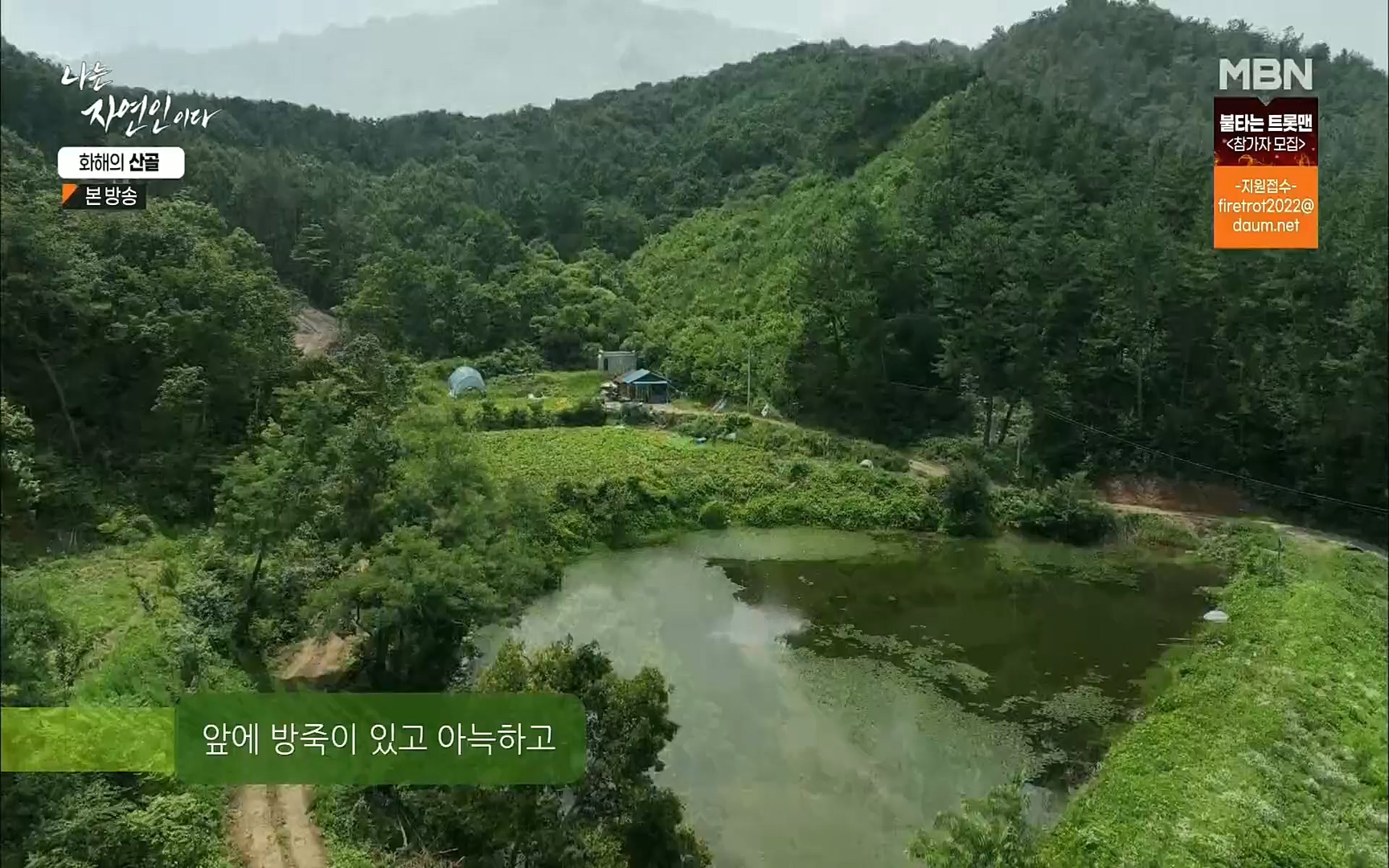 나는 자연인이다.E515.220817p.H264-F1RST.mp4_20220818_201910.498.jpg