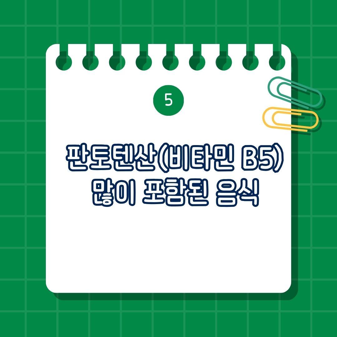 판토텐산, Pantothenic acid, 비타민B5, Vitamin B5, Vit B5 많이 포함 된 음식, 풍부한 식품