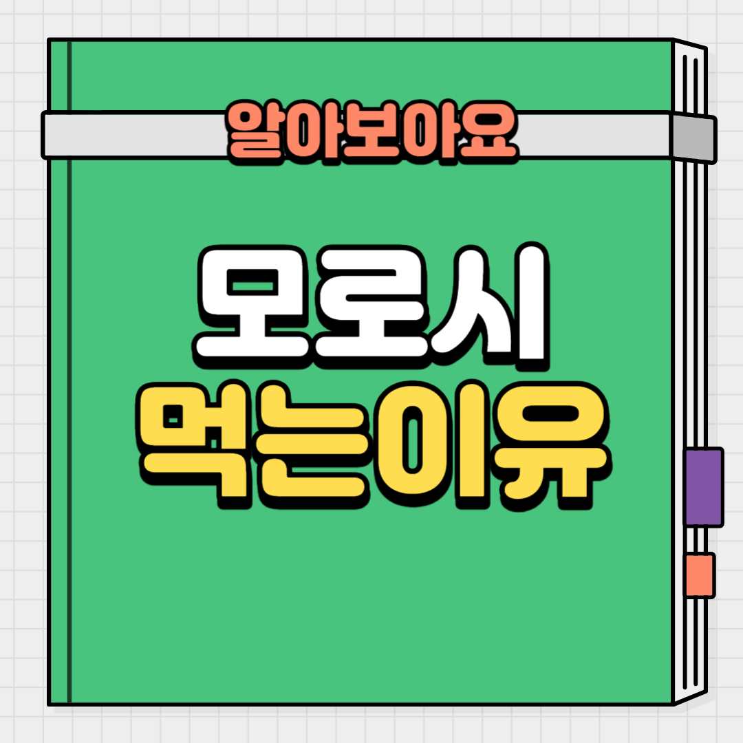  요즘 핫한 모로시의 다이어트 효과