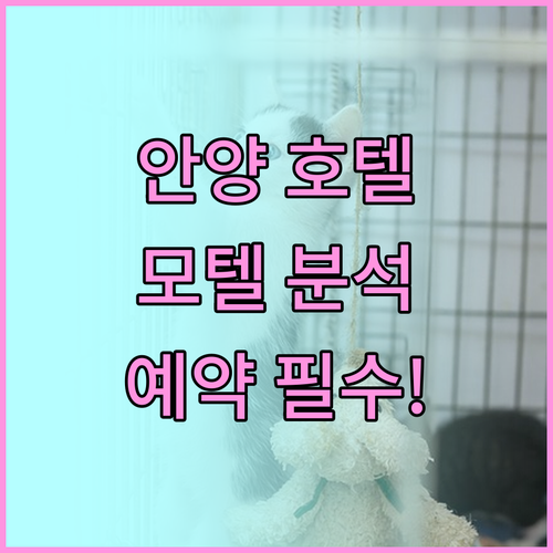 가성비 끝판왕! 안양 호텔, 모텔 완