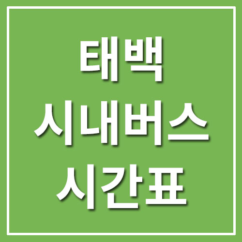  태백 시내버스 시간표 요금 운행정보