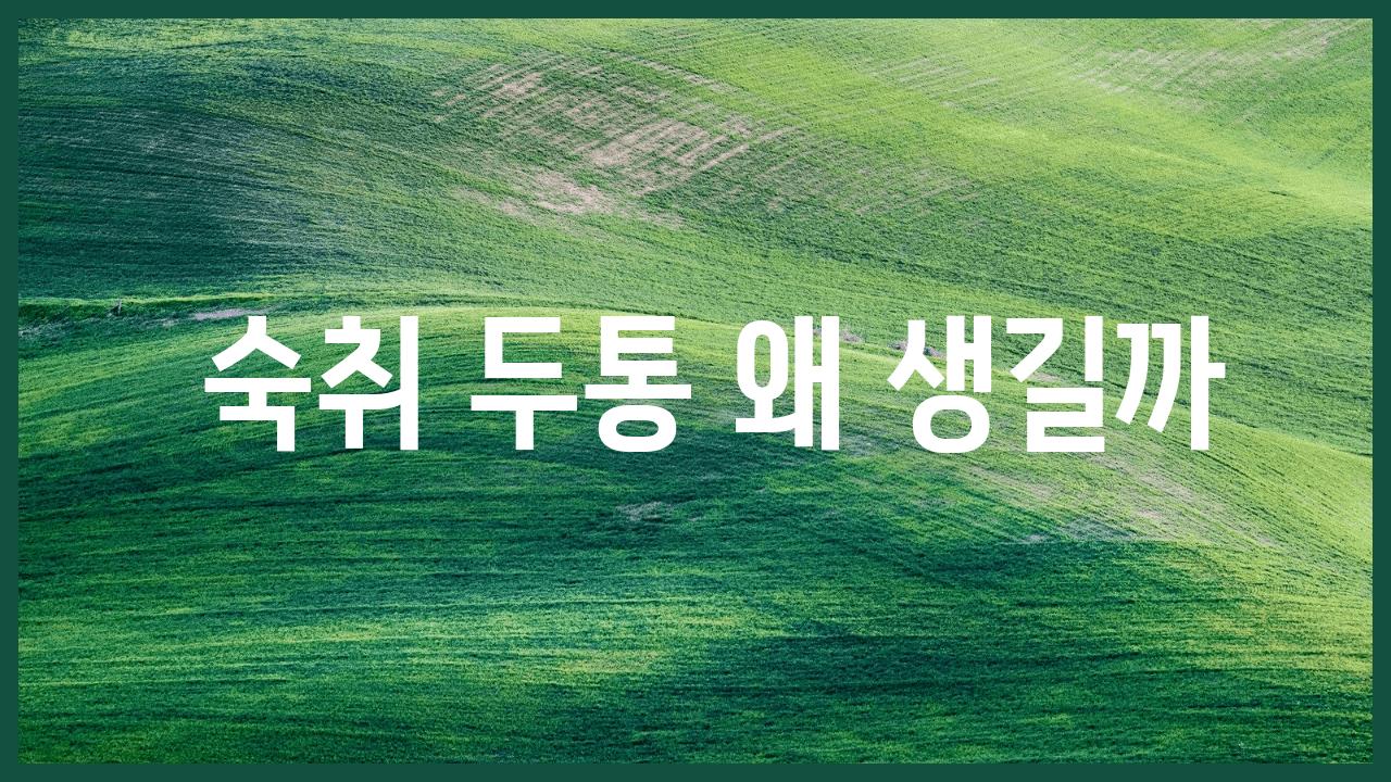  숙취 두통 왜 생길까