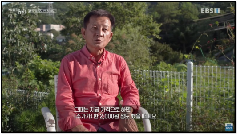 20년전 삼성전자 주가 삼성전자 주식 주가 2천원 때부터 20년 3