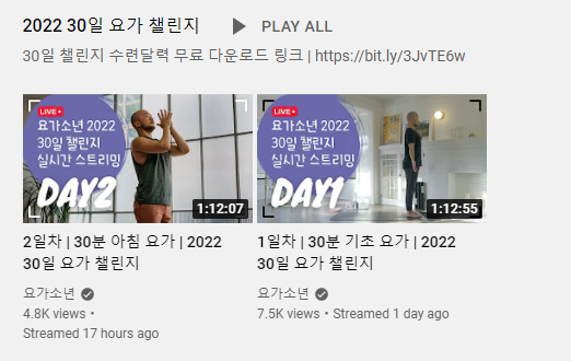  30일 요가 챌린지