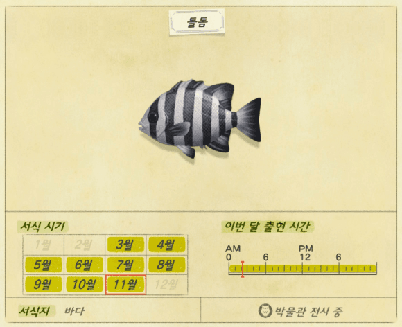 게임스토리 :: [모동숲] 모여봐요 동물의숲 물고기 도감 총정리 3편
