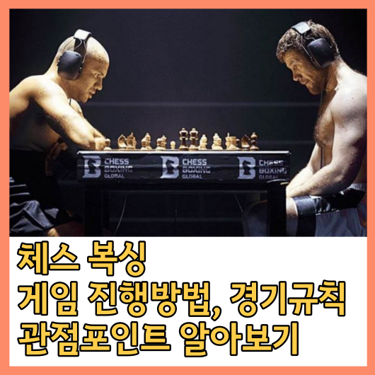  체스 복싱 게임 진행 방법, 경기규칙, 관점포인트, 경기유의사항 알아보기