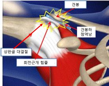 씽씽병원 이미지